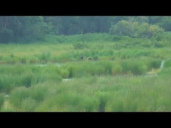 132_and_Coy_2018-07-07