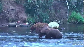 14_Jul_2019_856_Scares_Shaggy_by_mckate