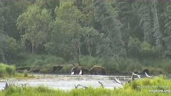 151_Walker_asserts_himself_to_83_Wayne_Brother_6_24_2020,_video_by_Lani_H-0