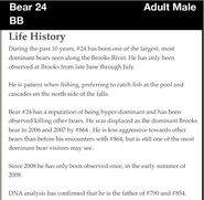 24 BB (aka Bald Butt)'s Life History from 2012 Brown Bears of Brooks Camp iBook