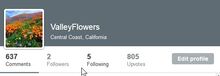 29 1334-Disqus – ValleyFlowers