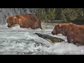 32_Chunk_and_89_Backpack_Brooks_Falls_cam_Explore.org_7-10-2022