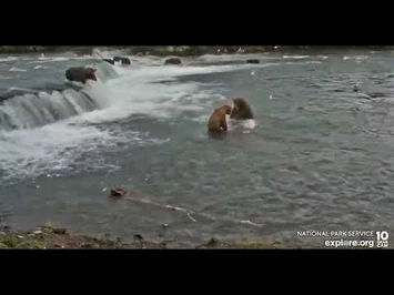 402_pushes_back_747_-_Explore.org_August_5,_2022