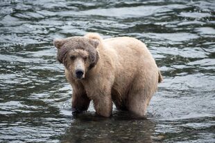 171 July 2018 NPS photo by Russ Taylor