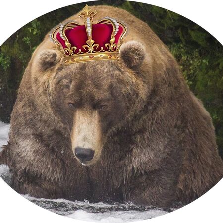 2017 Fat Bear Week Katmai Bearcams Wiki Fandom