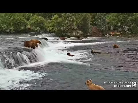 2022_07_09...503-151-747