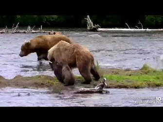 2022_07_08...856-39..From_Explore.org