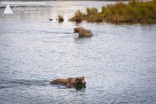 480 Otis (near) and 435 Holly (far) September 18, 2019 photo by scooch