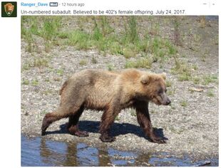 811 July 24, 2017 NPS photo with Ranger David Kopshever's November 9, 2017 10:53 comment