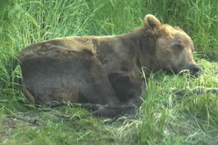 99 July 10, 2022 gif by LunaCre