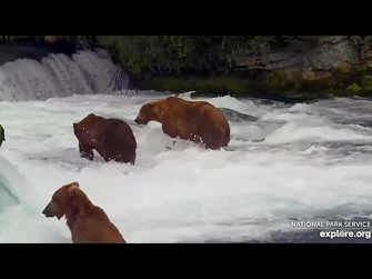 18_Jul_2023-_856_Has_a_Discussion_with_32_(explore.org)