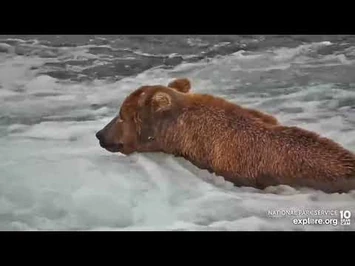 856_close-up_Brooks_Falls_cam_Explore.org_7-1-2022-2