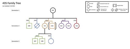 Family-tree-rq-435