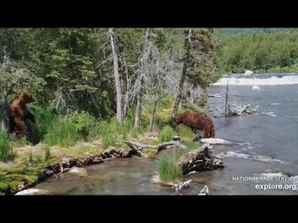 6_Jul_2023-_856_Postures_in_Front_of_747_(explore.org)