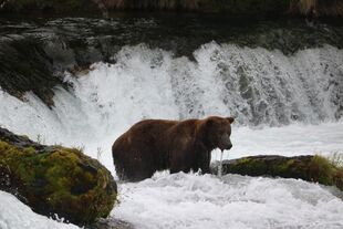 801 on July 4, 2017 NPS Photo via Ranger Dave 11/09/2017 11:29