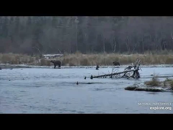 811_and_Coy_10-29-2020