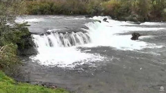 09.15.2016_-_747_and_856_Have_Words_in_the_Jacuzzi_by_Brenda_D-0