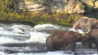 856_enters_and_has_words_with_775_Lefty,_801_also_leaves_the_office,_8_2_2020_video_by_Lani_H