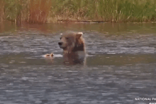308 August 14, 2022 gif by LunaCre