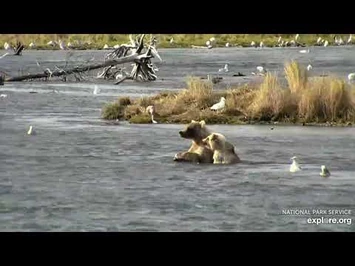 435_Holly_and_Coy_9-30-2020