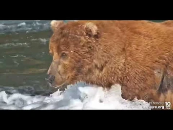 83_-_Explore.org_June_28,_2022-2