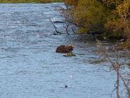 39 October 22, 2014 NPS photo