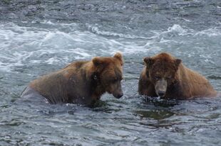 801 (right) with 151 Walker (left) July 17, 2017 by Anna-Marie AZ