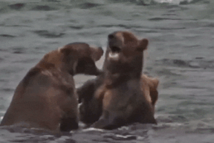 99, 136 and 164 (left to right) August 8, 2022 gif by LunaCre
