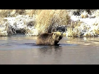 1_Nov_2021-_More_of_129_(explore.org)-2