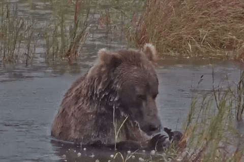 208 GIF 2024.08.27 EATING MORE CLAY LUNACRE p 2024.08.28 03.29 18