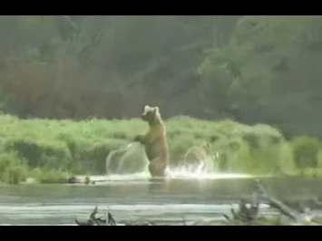 Who_scared_Mom_and_cub?_Explore.org_28_June_2021