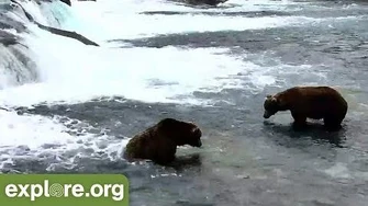 Bear_856_Displaces_747_from_the_Jacuzzi