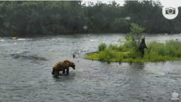 OTIS 480 GIF 2016.07.03 480 LEFT & 32 RIGHT JUERGEN RESIZED