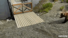 Beadnose Firstbear 21062014.gif