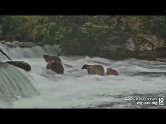 BF_Grazers_128_come_in_and_displaces_Divot_and_others_08052022