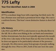 775 Lefty's page of the 2015 Bears of Brooks River book, page 66 ~ information only