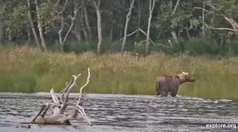 OTIS 480 PIC 2023.07.26 NATURES FOLIO FISHING REPORT 02 BOOMY RW