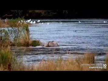 Holly_09-25-22_explore.org