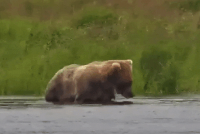 261 GIF 2022.07.17 ENJOYS CALM LOWER RIVER LUNACRE p 2022.07.18 09.54