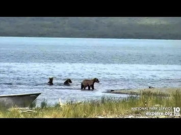 27_Jun_2022-_Young_Adults_Swim_to_Spit_(explore.org)-2