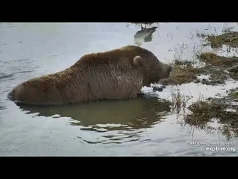 83_Wayne_Brother_10-15-2020