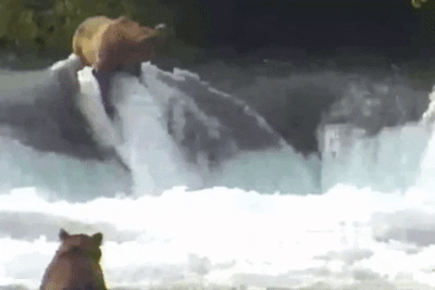 910 GIF 2022.07.27 SPRING CUB WASHES OVER FAR SIDE LIP RIFFLES LUNACRE p 21.48 02