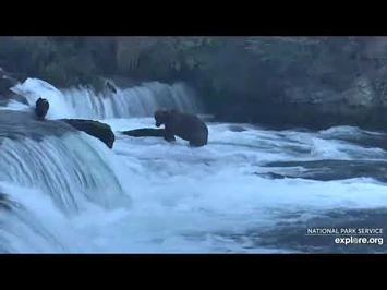 89_Backpack_in_the_far_pool_9-2-2020