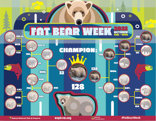 Let’s crown our Queen that’s thicker than a bowl of oatmeal, 128 Grazer, 2023 Fat Bear Week Champion! Long live the Queen!