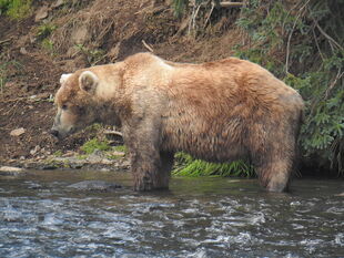 480 Otis July 3, 2022 NPS photo by C Kliesrath KNP&P Flickr 