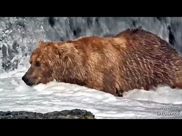 10_Jul_2021-_89_Fishes_the_Far_Pool_(explore.org)