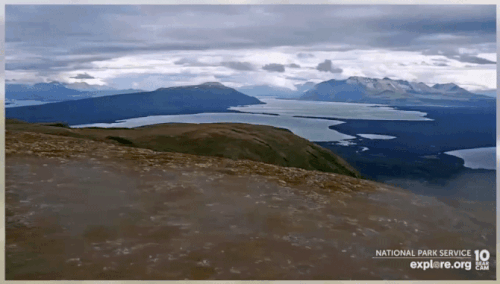 2022.07.24 GIF VIEW FROM DM CAM SCOOCH p 19.58