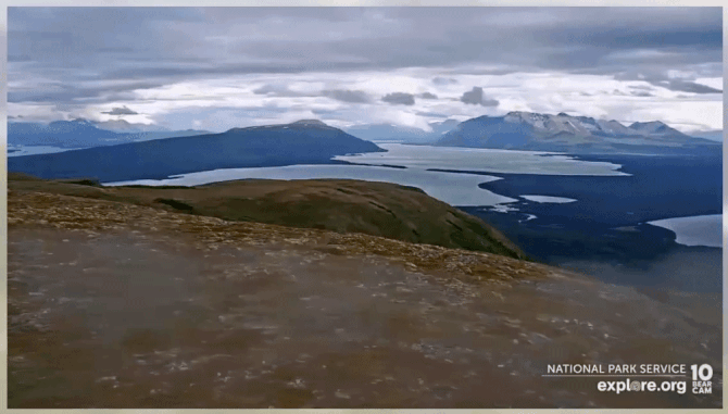 2022.07.24 GIF VIEW FROM DM CAM SCOOCH p 19.58