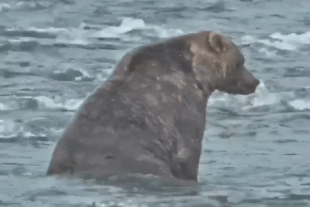 89 Backpack October 1, 2021 gif by LunaCre .02