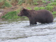 356 September 7, 2022 NPS photo by T Carmack KNP&P Flickr